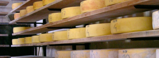 corso di formazione il mondo dei formaggi Accademia d'Impresa Trento