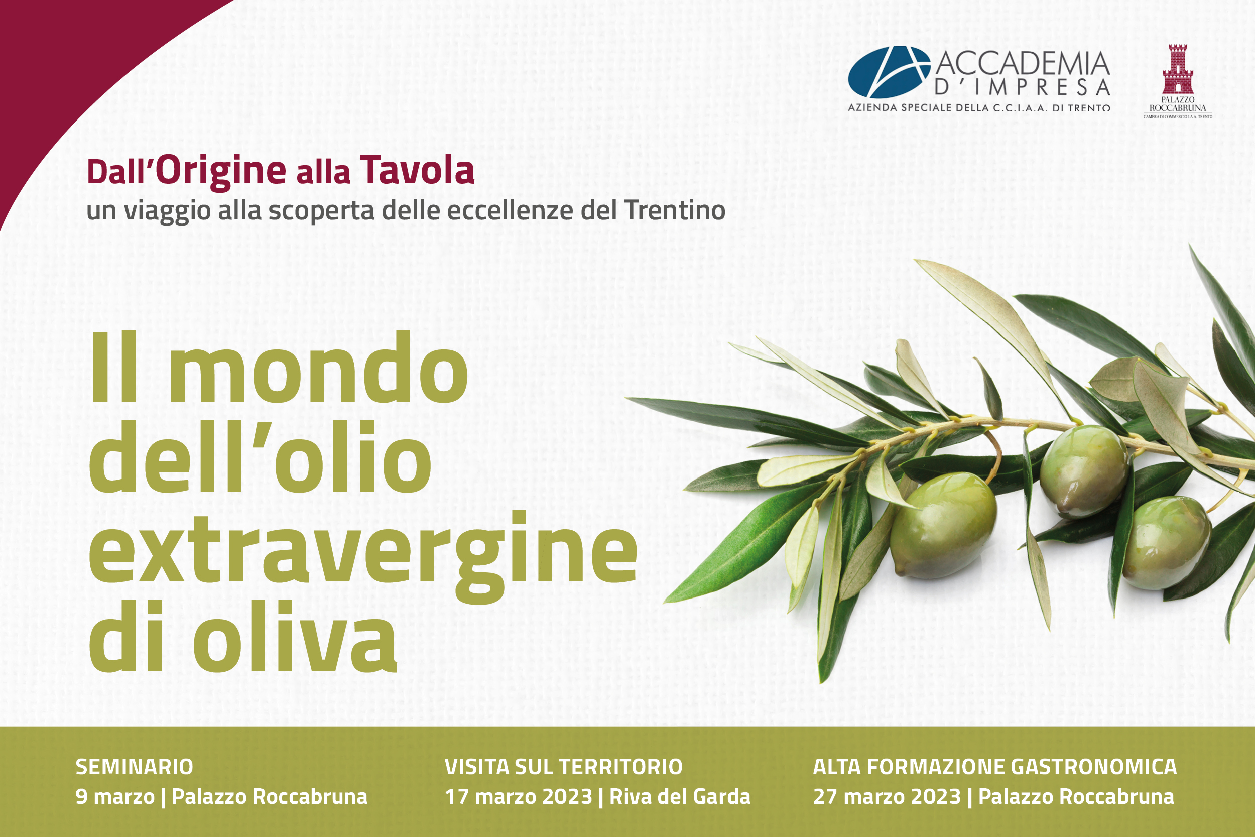 Il mondo dell'olio extravergine di oliva - seminario - Accademia d'impresa