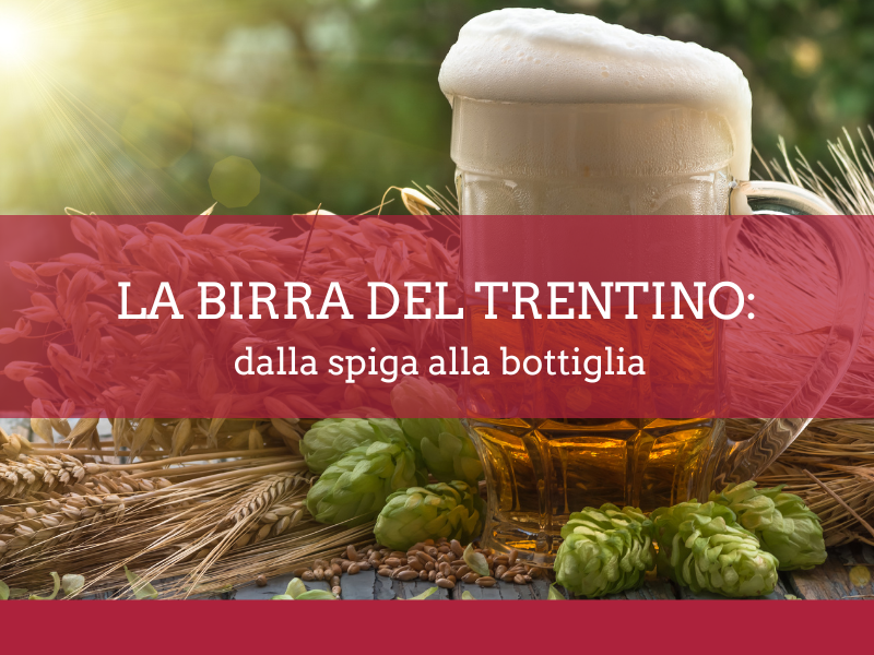 La birra del Trentino: dalla spiga alla bottiglia - Accademia d'impresa